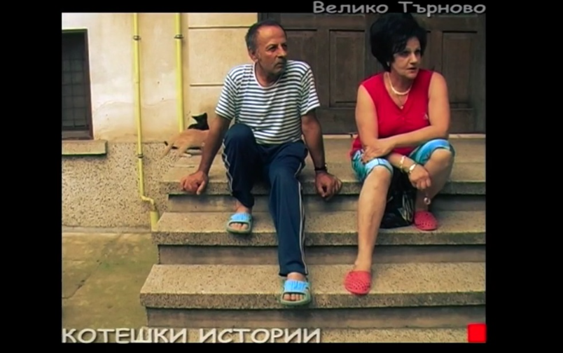 Отечествен фронт, епизод 186: Котките.